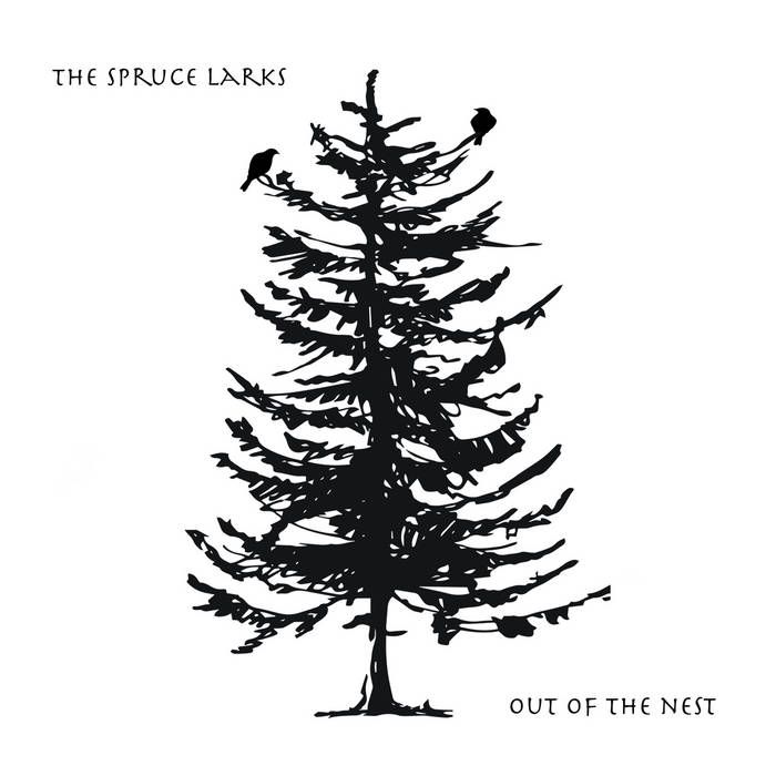The Spruce Larks Out of the Nest Nyckelharpa Music in Canada