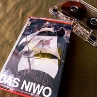 Das Niwo - 10 Jahre Laub & Nudeln: Cassette