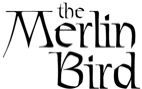 The Merlin Bird + Joshua Batten