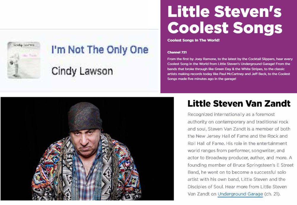 "I'm Not the Only One" is in rotation on Little Steven's SiriusXM station, "Little Steven's Coolest Songs in the World"!
