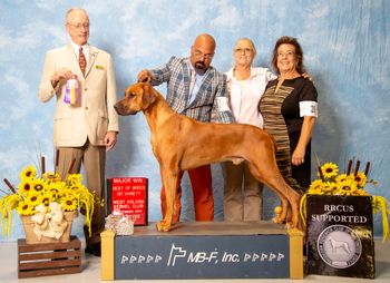 2nd Major - 5pts!  Best of Breed over several Champions!
