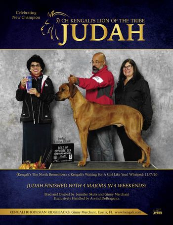 Judah's ad in The Ridgeback magazine
