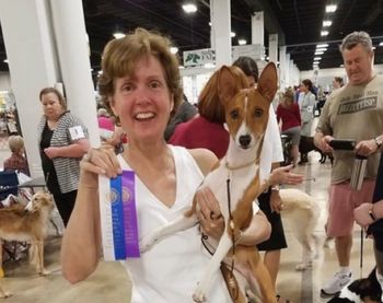 Suddanly Signora Benelli - "Nelli" - 4 Point Major with Owner Handler Pam Quinn
