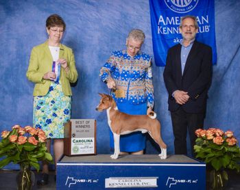Suddanly Unexpected King of The Pride Lands SC (Simba) 2nd Five Point Major at Greensboro, NC 8/20/17
