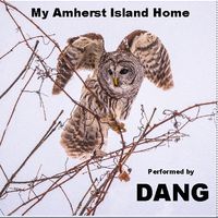 My Amherst Island Home by Dang