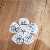 WR Signature Guitar Picks (5 Pack)