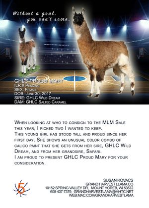 Sold for $2250 to Sydne Minniear, IN

View her Legacy Pedigree by clicking on GHLC Proud Mary.