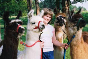 Kids and llamas are meant for each other. Merlene's niece Inga, with our first cria crop in 2002
