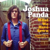What We Have Sewn by Josh Panda