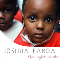 The Light Inside by Josh Panda