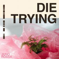 Die Trying by Juno Rossa