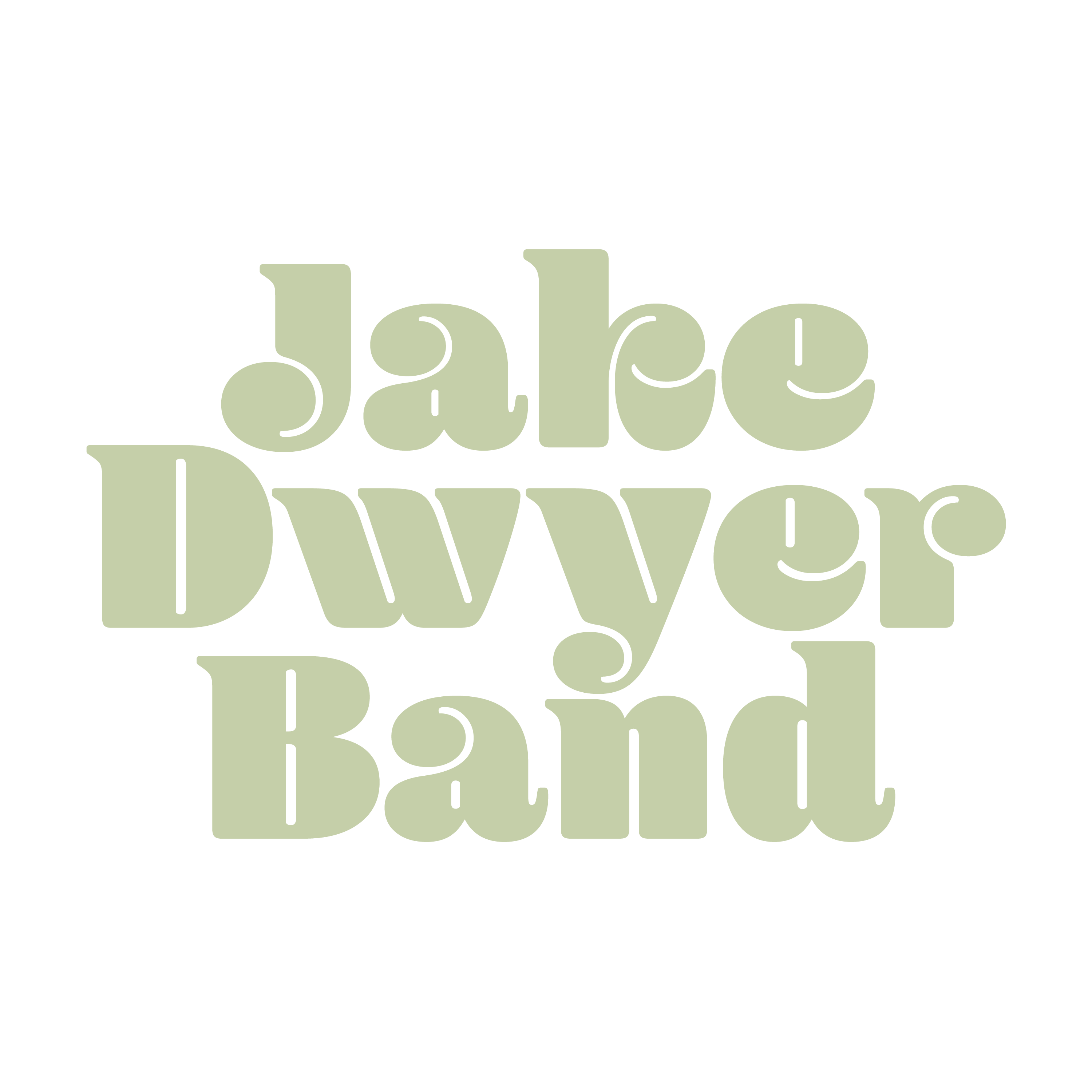 Jake Dwyer Band