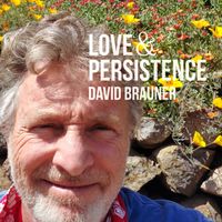 Love & Persistence by David Brauner