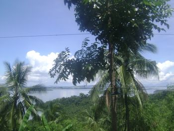 A beautiful Philippine island!
