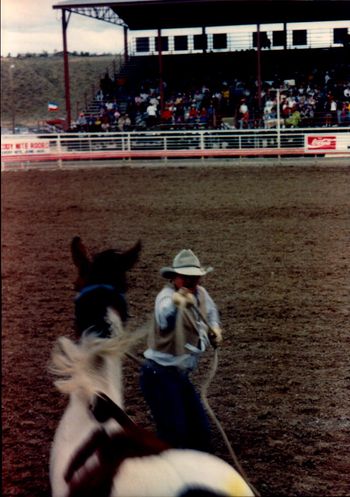 Cody Stampede wild horse race 1993
