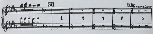 This is an excerpt from Stravinsky's Rite of Spring, which changes time signature frequently