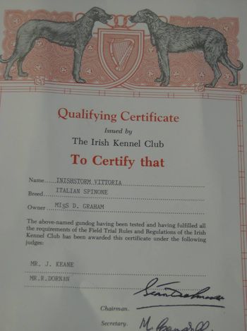 Working Qualification Certificate Achieved in October 2012
