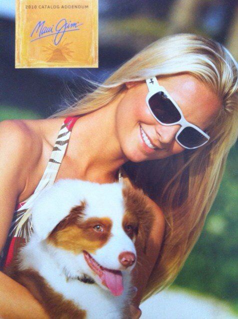 "Yuki" as a puppy on the cover of Maui Jim Catalog