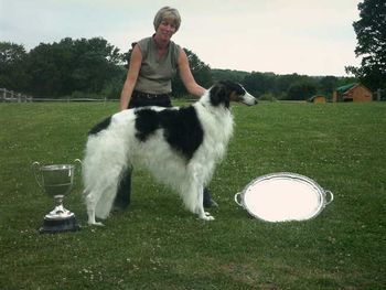 Winner of Best Male (Ch. Shows) The Borzoi Club & Zomahli Tray (BOB Leeds) in 2004 & 2005 Winner of RDCC at Crufts 2004 & 2006.
