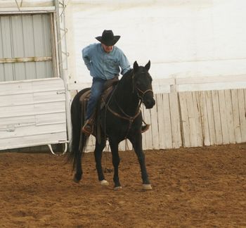 Sparractic in training under capable hands of Billy Greenough, A Genuine Cowboy!!
