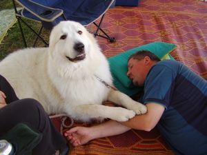 With his pal and favourite handler Brendan