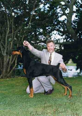 NZ Gr Ch Celestion Black Tie (imp Aust)NZ Dog of the year all breeds 1992
