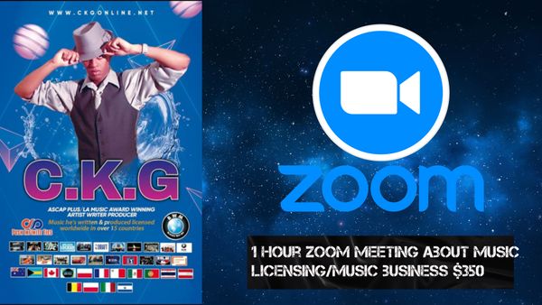 1 Hour Zoom Consultation about Music Licensing/Music Industry