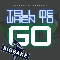 Tell Me When To Go by Bigbake feat. BFB Da Packman