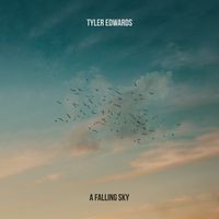 A Falling Sky by Tyler Edwards