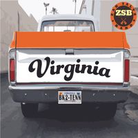 Virginia by Zak Saltz Band