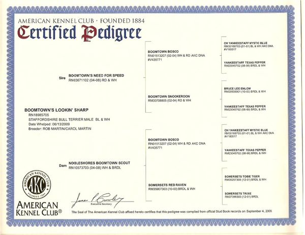 akc order pedigree