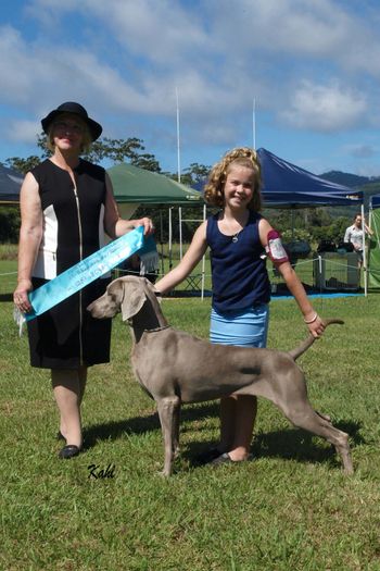 171st Champion Bromhund Just All Attitude Owned by Bromhund Kennels Handled by Eva Tulk
