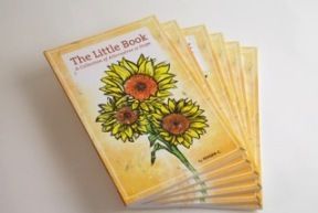 The Little Book: A Collection of Alternative 12 Steps by Roger C.
