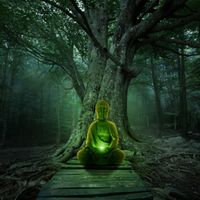 Meditation Forest by Iftekharul Anam