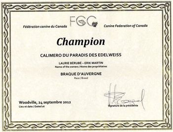 Certificat Champion - Caliméro
