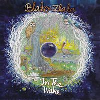 In the Wake: CD