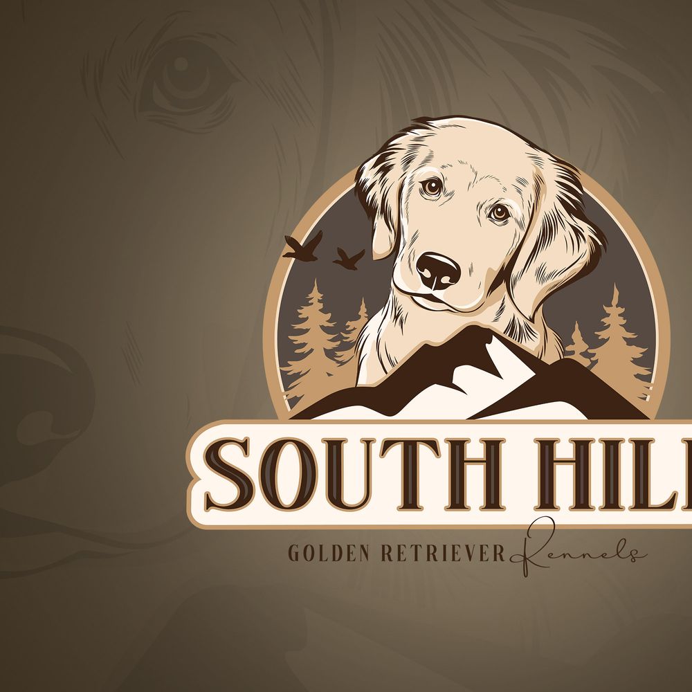 golden hill kennels