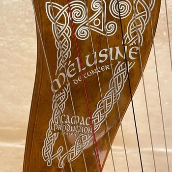 Stina's beautiful harp
