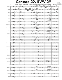 Bach BWV 29