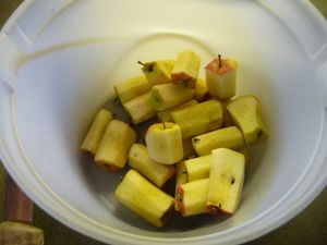 Crabapple juice - apple cores for juice