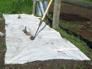 Woven weed fabric in place