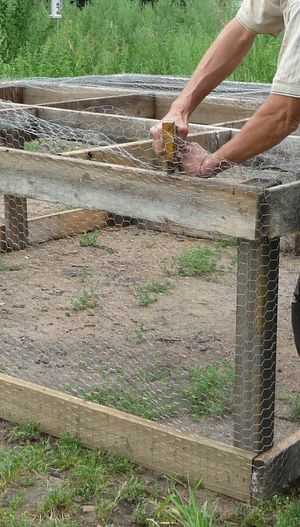 Folding over excess wire on pastured poultry chicken tractor