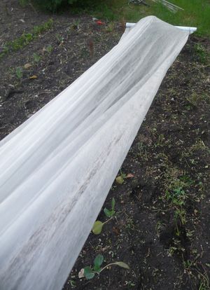 DIY Floating row cover tunnel - unrolling floating row cover