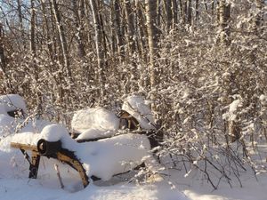 Stocking up, planning and homestead happenings - saw mill 