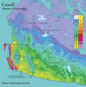 Establishing an apple tree orchard - plant hardiness zones