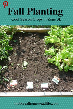 Fall planting of cool season crops - Pinterest link