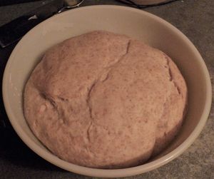 Adventures with sourdough - risen sourdough bread bagel dough
