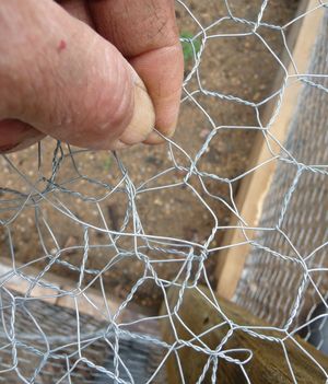 Sewing the wire together on pastured poultry chicken tractor