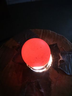 Photo of an egg being candled
