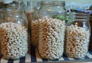 Filled odd shaped jars for vegan beans